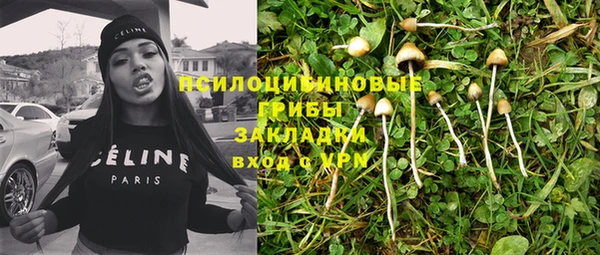 стаф Абдулино