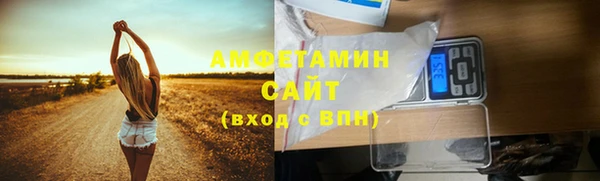 PSILOCYBIN Рославль