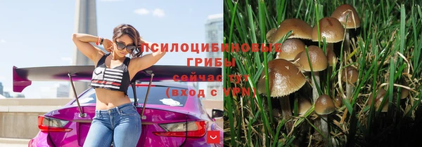соль ск Абаза