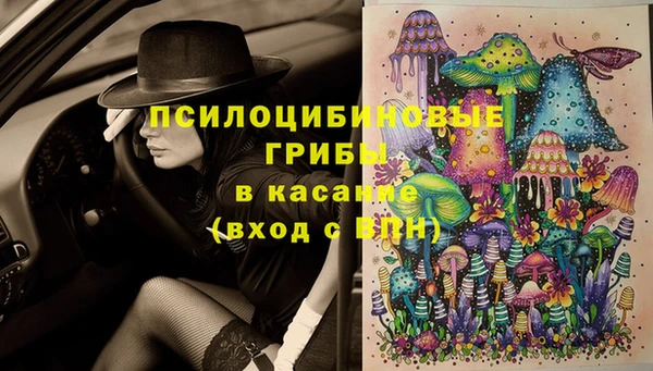 стаф Абдулино