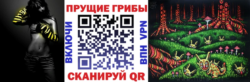 закладка  Алдан  Псилоцибиновые грибы MAGIC MUSHROOMS 